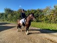 Equestrian success at NSEA Championships