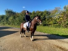 Equestrian success at NSEA Championships